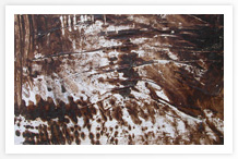 Ilaria Martellacci_Pittura